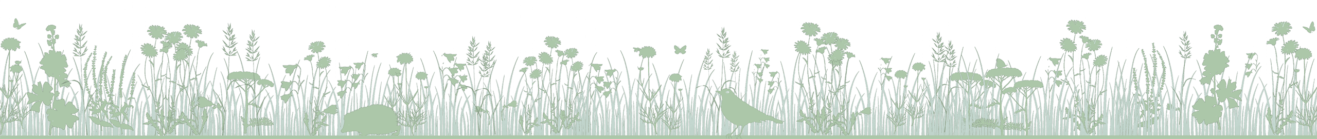 Groene plantenborder als overgang naar de footer